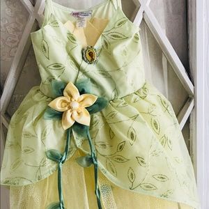 Beautiful Disney Tianna dress.